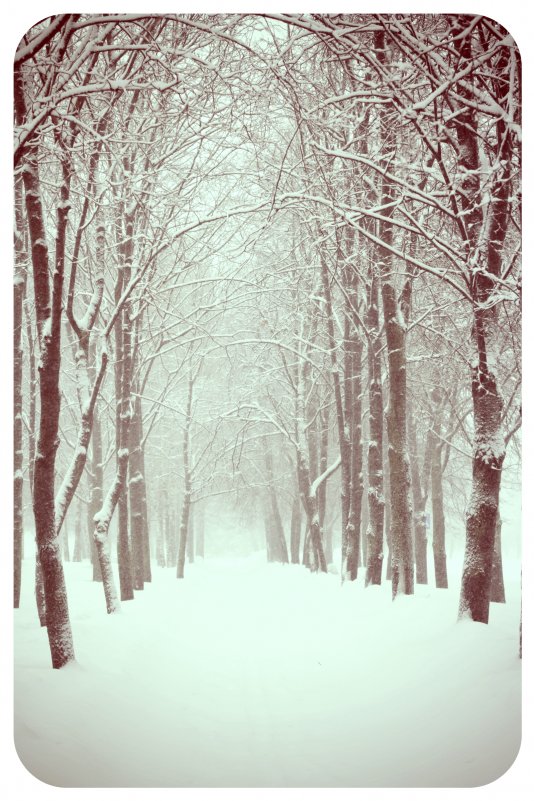 Снегопад в городе - Вероника Швец
