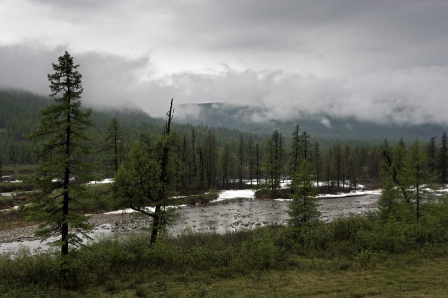 Борис Леваков - oka sayanskayajpg - Фотоконкурс Epson