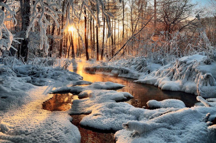 Николай Привалов - Чародейкою зимою околдован лес стоит - Фотоконкурс Epson