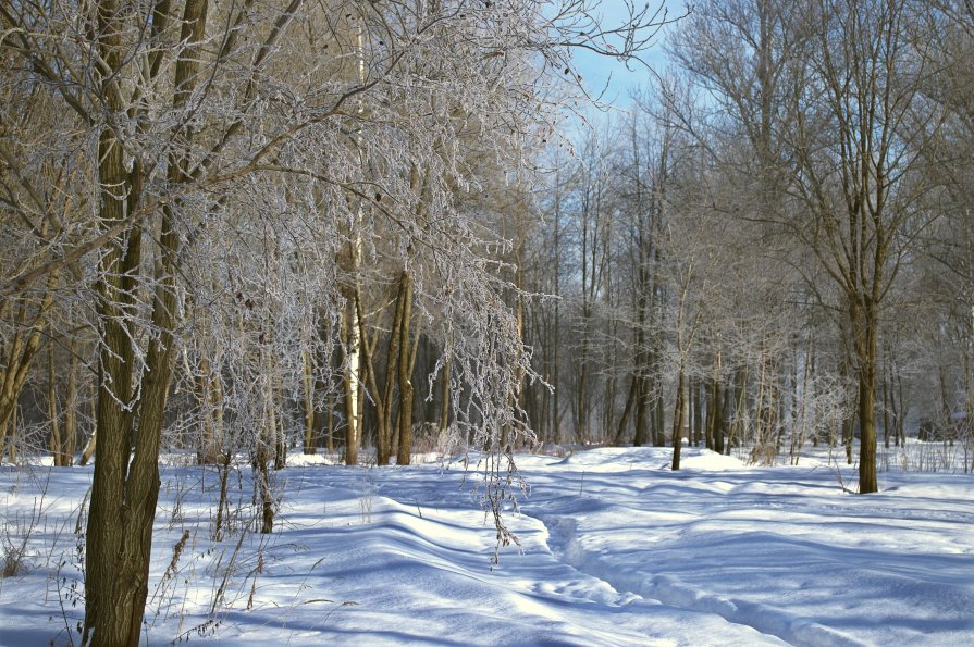 Зима - Рай Гайсин
