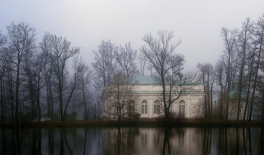 Туман в Царском саду - Светлана Парфёнова