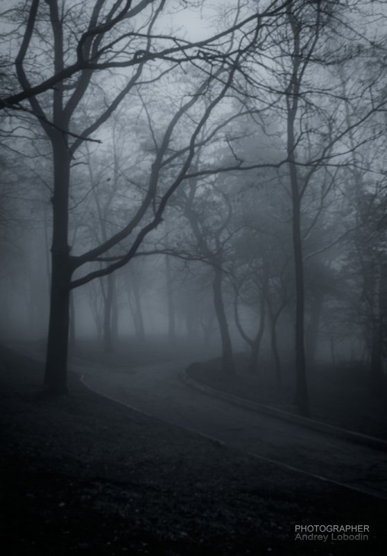 Dark place - Андрей Лободин