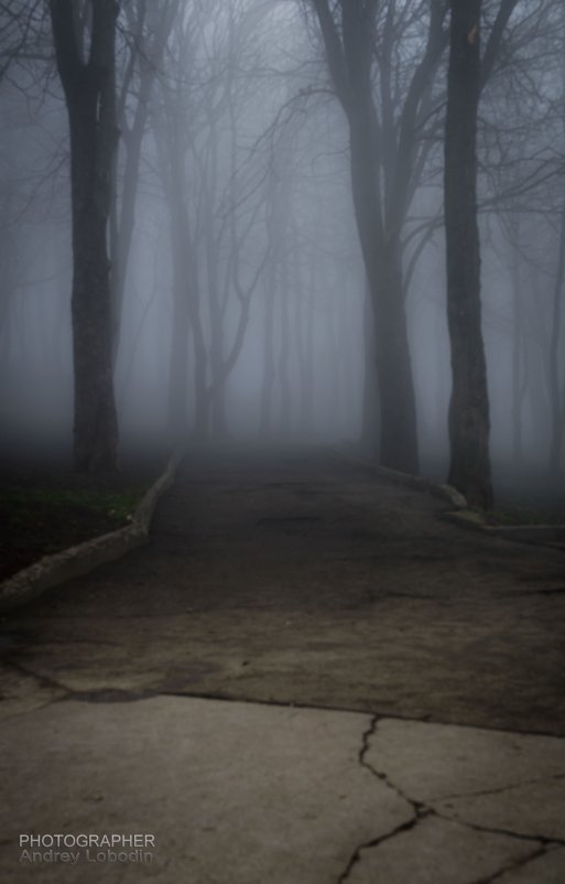 Dark forest - Андрей Лободин