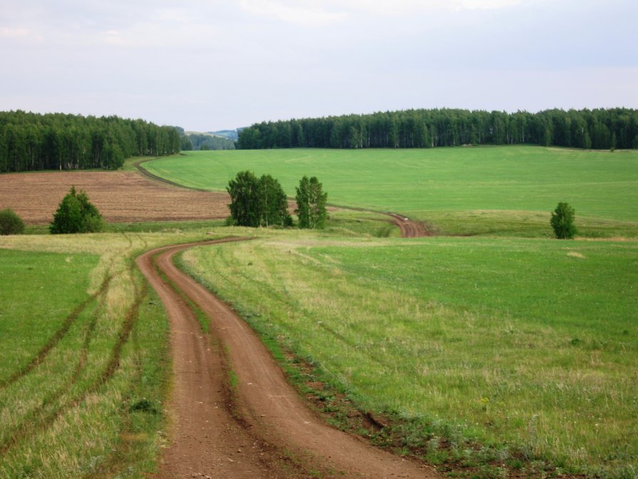 Простор - Лариса Корсакова