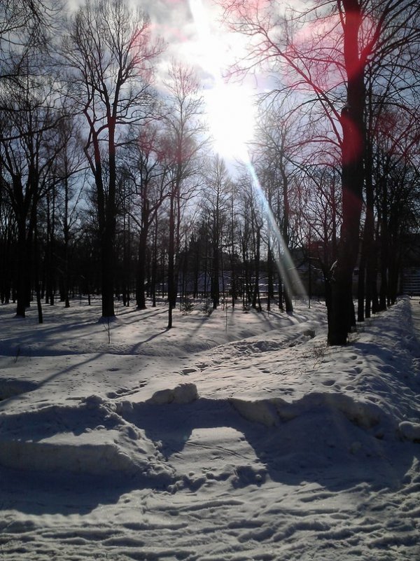 Peterhof - Dmitriy Silin