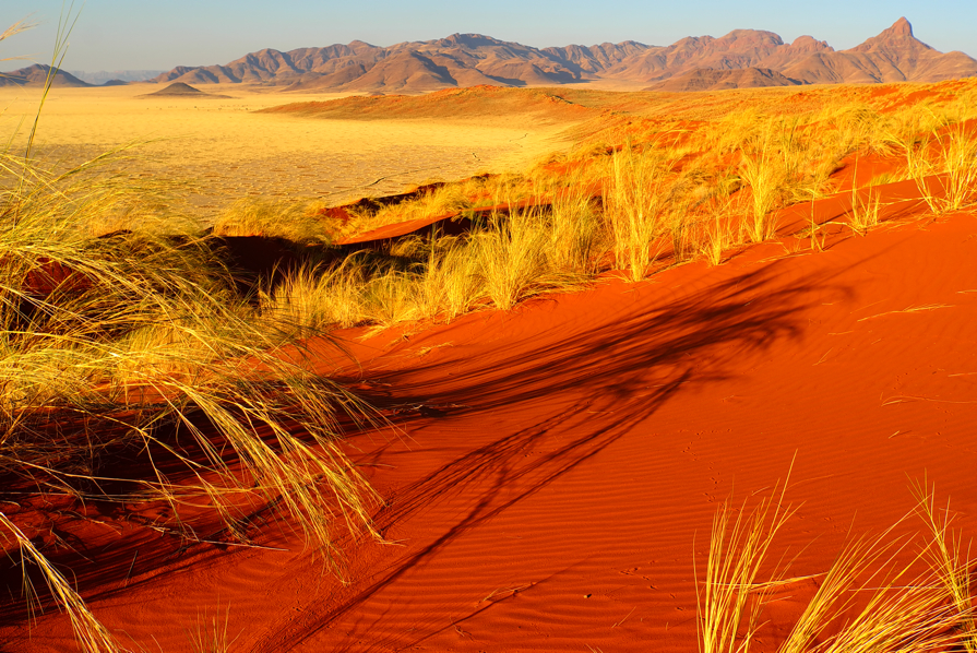 Red sand - Natalia Morozova