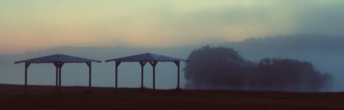 Misty morning - Александра Ветер