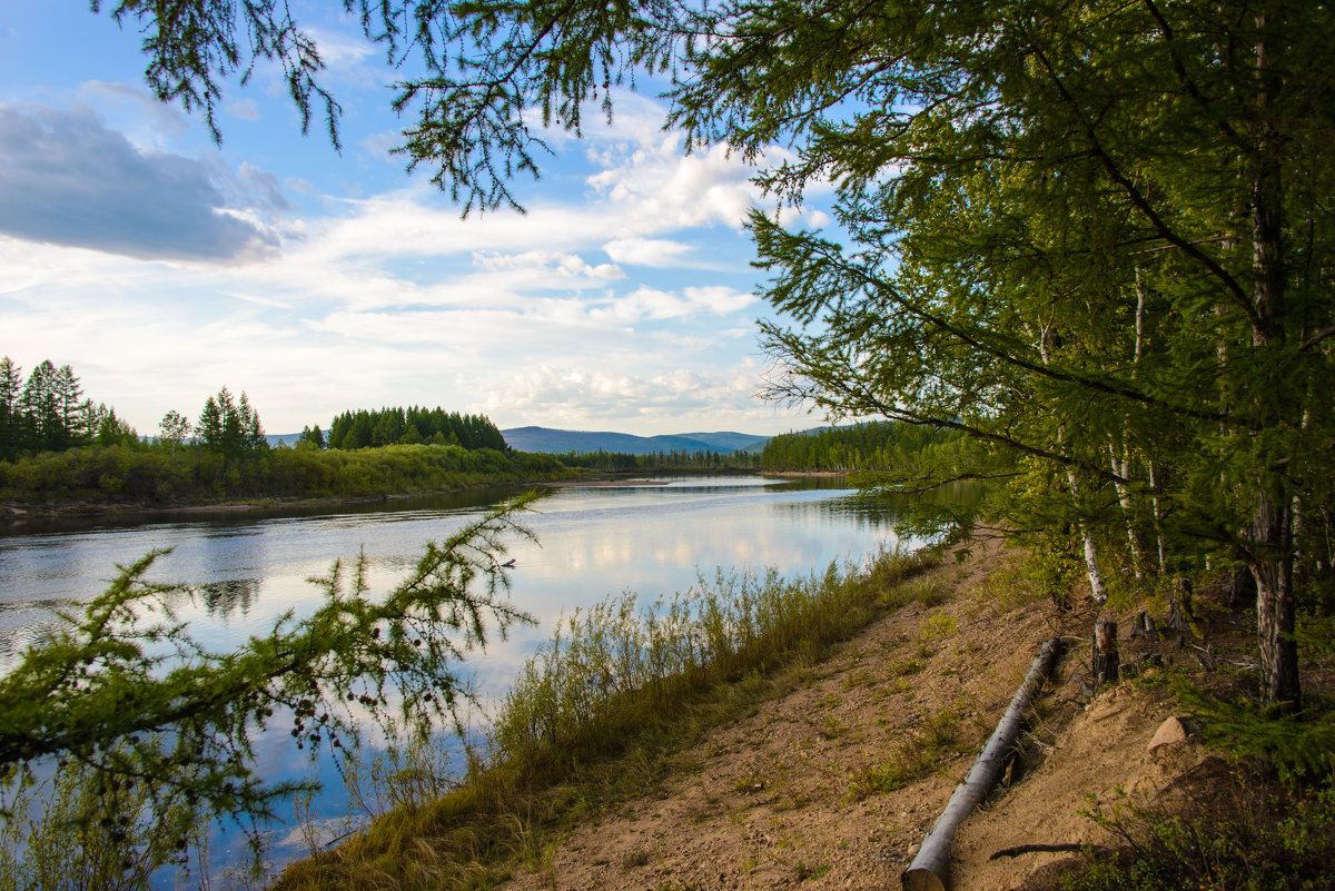 *** - Александр Хаецкий