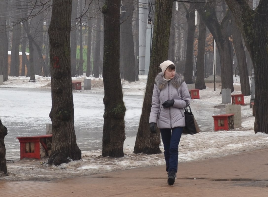 В одиночестве - Владимир Болдырев