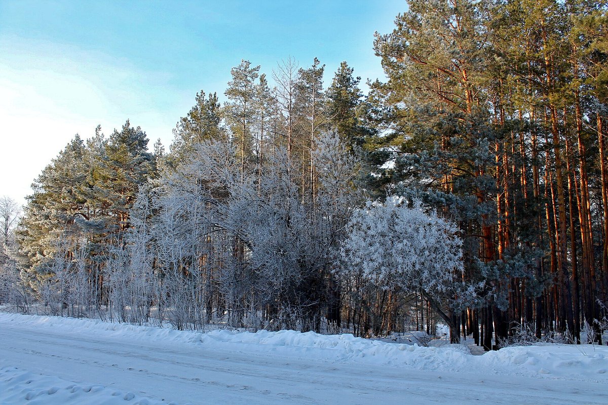 Зимняя дорога - Евгений Агудов