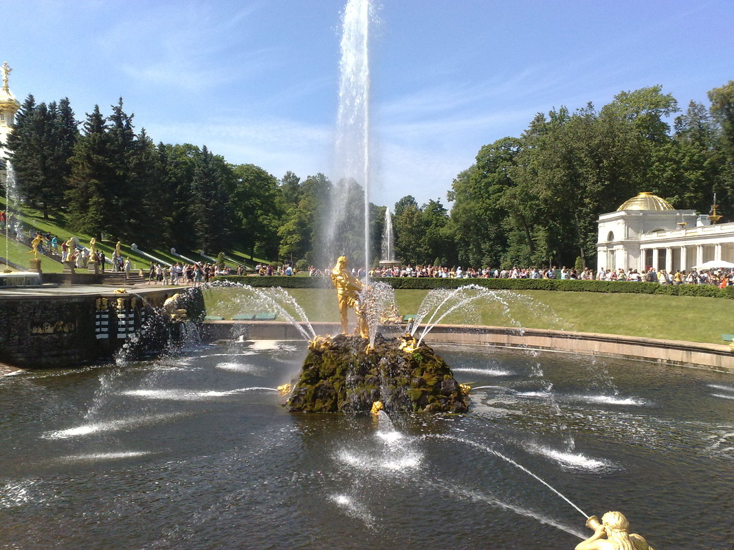 парк    петергоф     санкт-петербург - игорь 