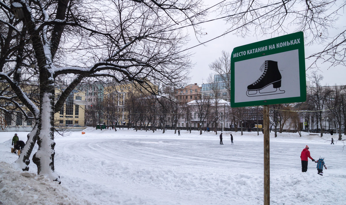 Московская зима - Панова Ольга