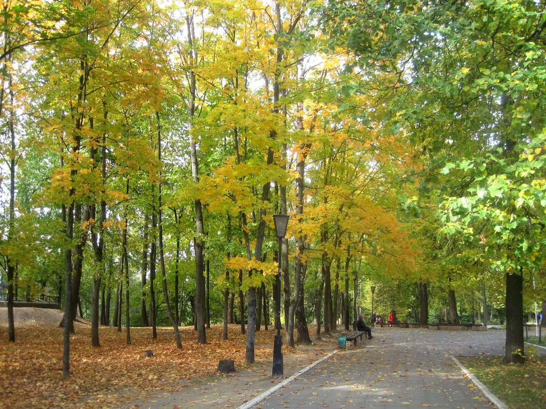 Осень в городском парке - Елена Семигина