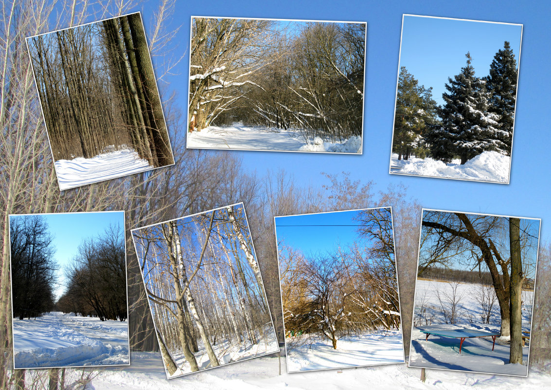 Морозный и снежный февраль 2014... - Тамара (st.tamara)