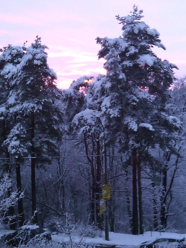 Красивый закат в Сестрорецке 02.02.2015 - Светлана Безрукова