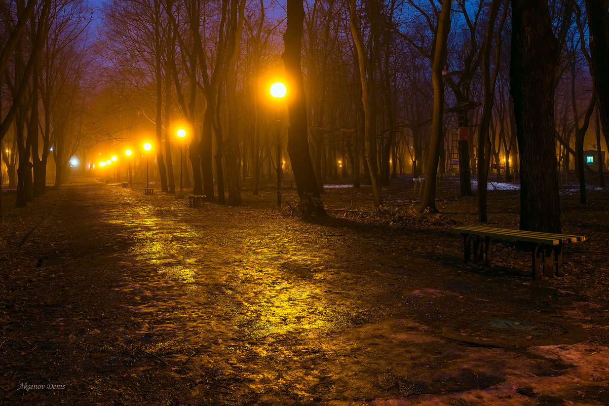 В свете ночных фонарей - Denis Aksenov