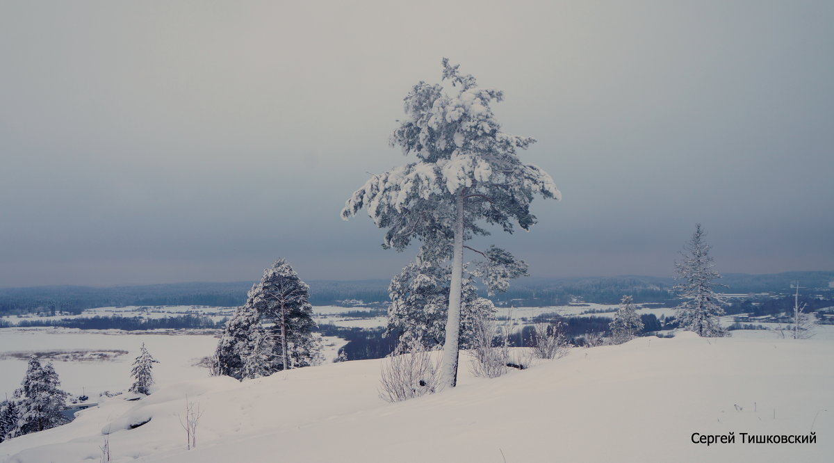 на снежной вершине - Сергей 