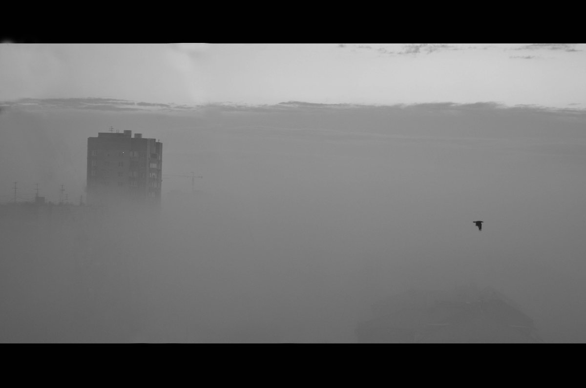 Туман над Волгоградом - Иван Коваленко