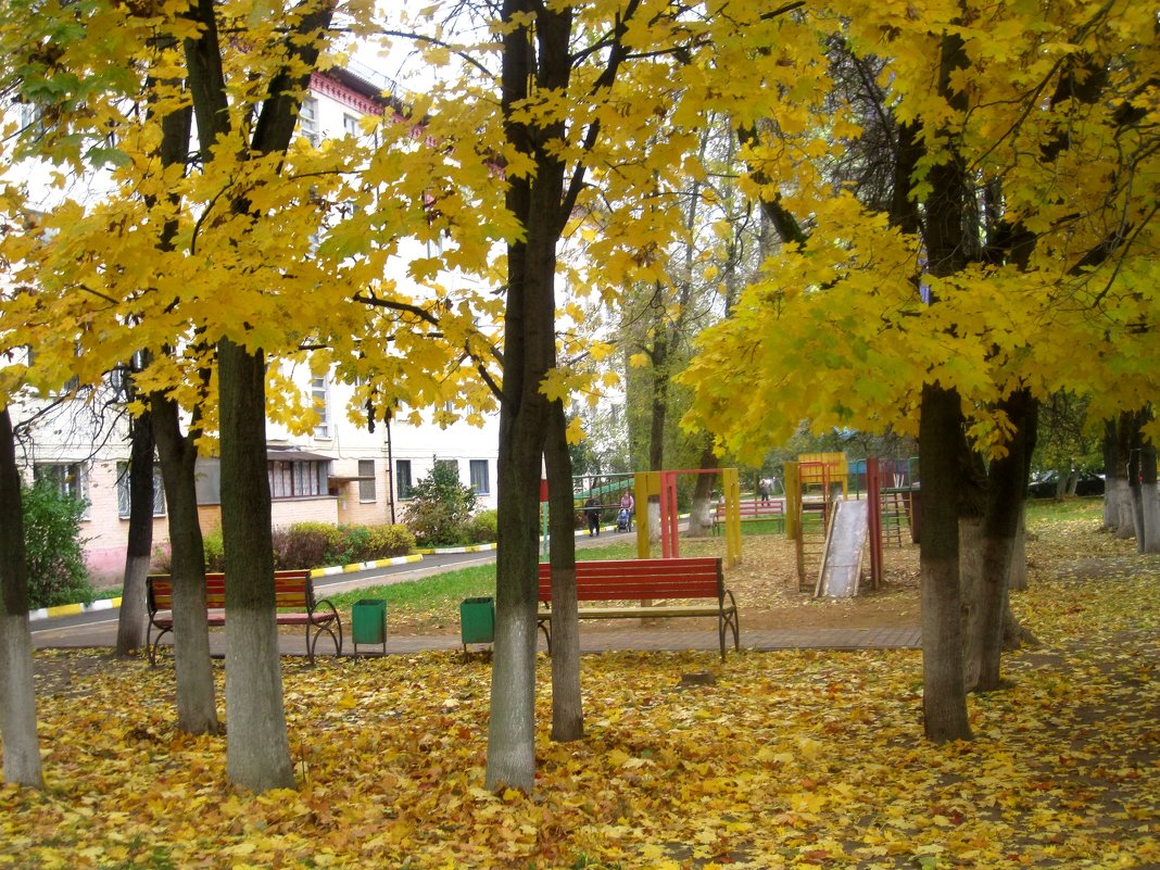 осень в городе - Елена Семигина