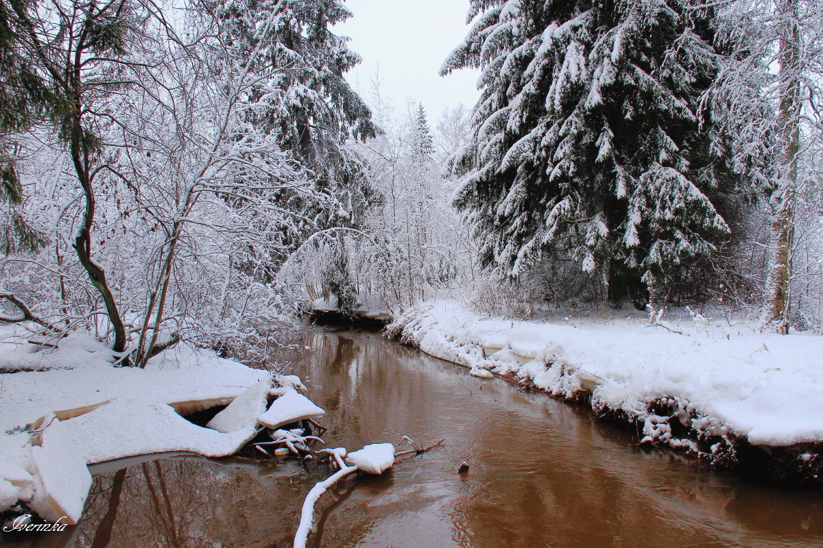 Сказки зимнего леса - Iverinka .