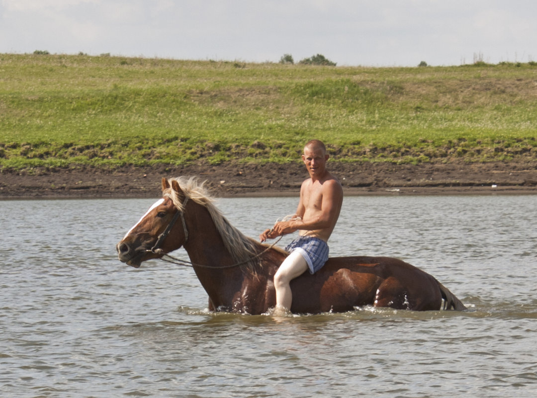купание красного коня - evgeny 