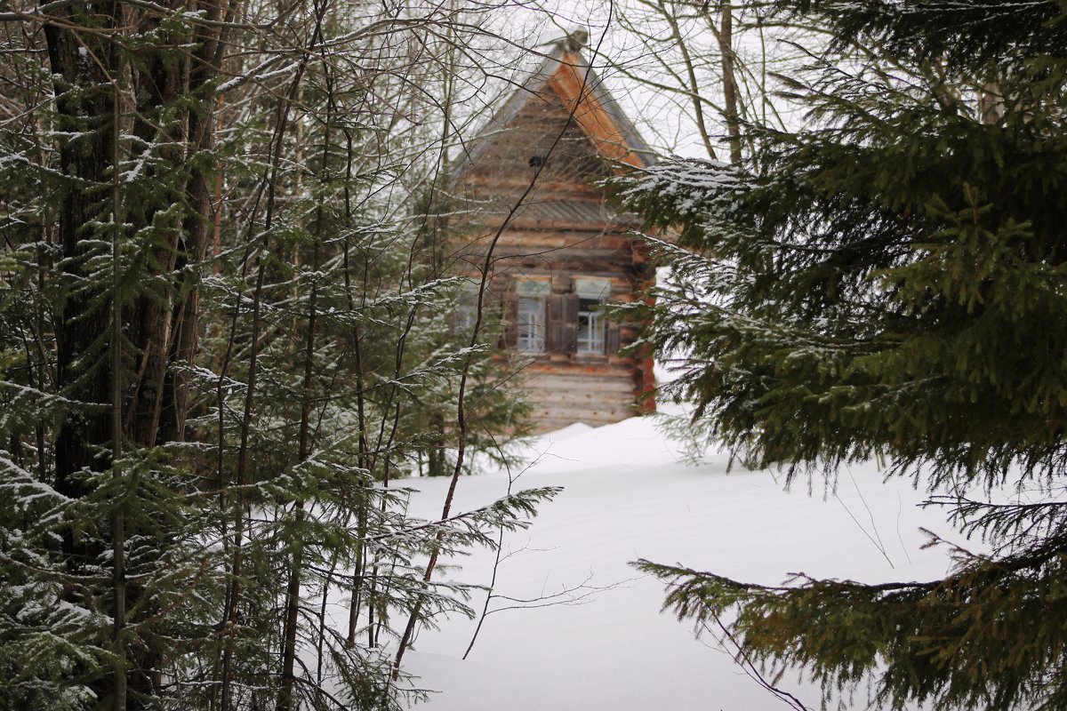 дом в лесу Хохловка - petyxov петухов