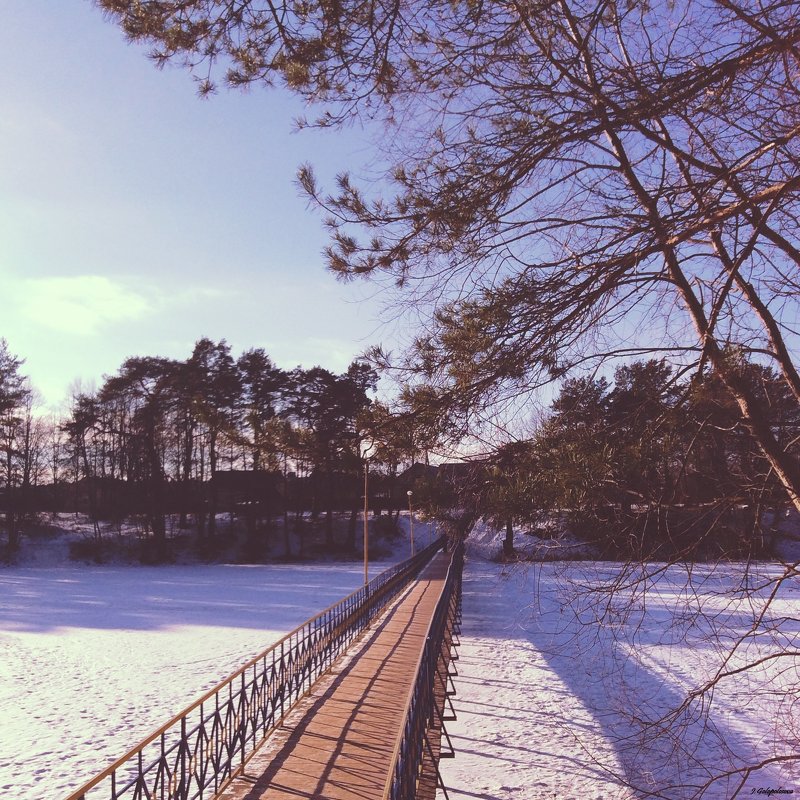 #river #bridge #tree #pine - Джастина Голополосова