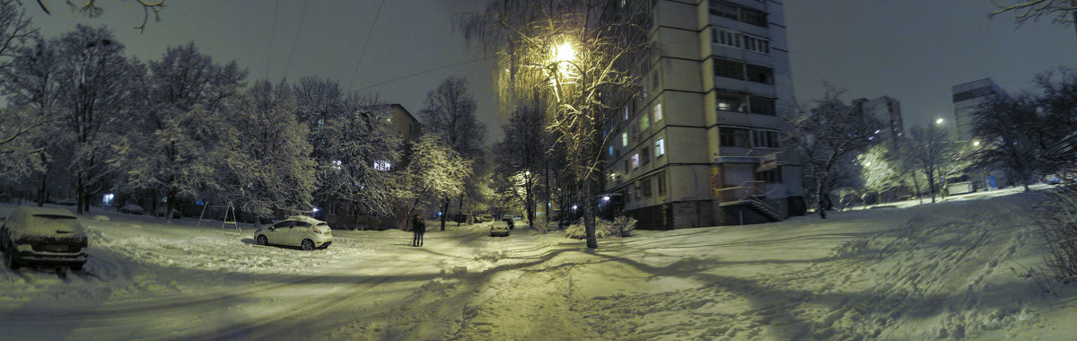 Февральский снегопад - Александр Сальтевский