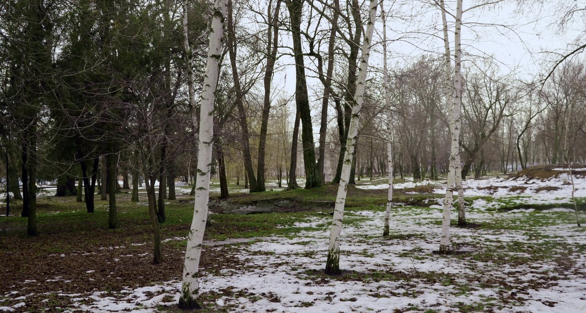 Весна ещё в начале... - Владимир Болдырев