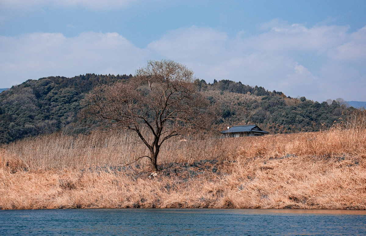 river - Slava Hamamoto