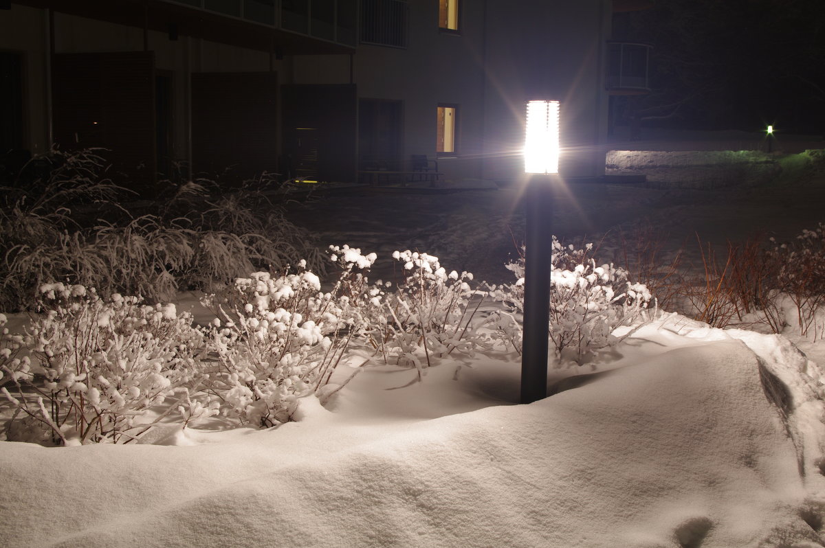 Зима,ночь, улица, фонарь, мороз - Александр 