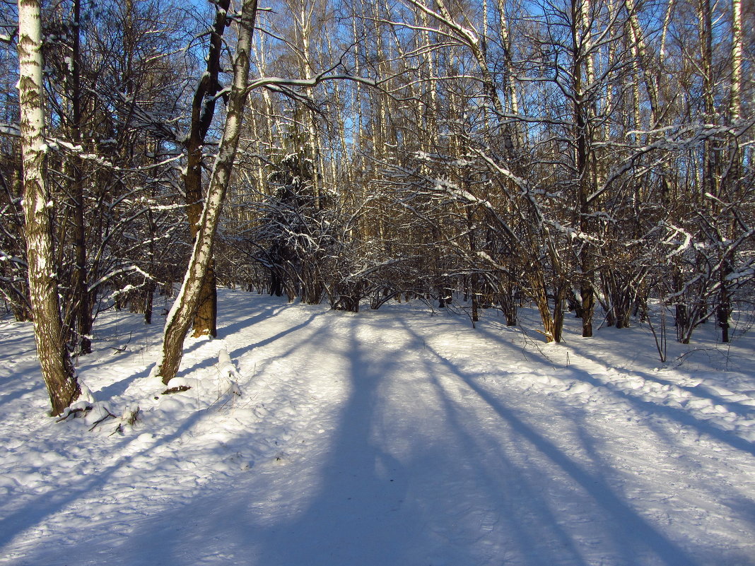 Под голубыми небесами Великолепными коврами, Блестя на солнце, снег лежит - Андрей Лукьянов