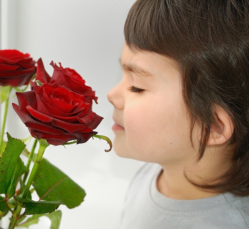 ах...как пахнут эти розы!!! - Lena 