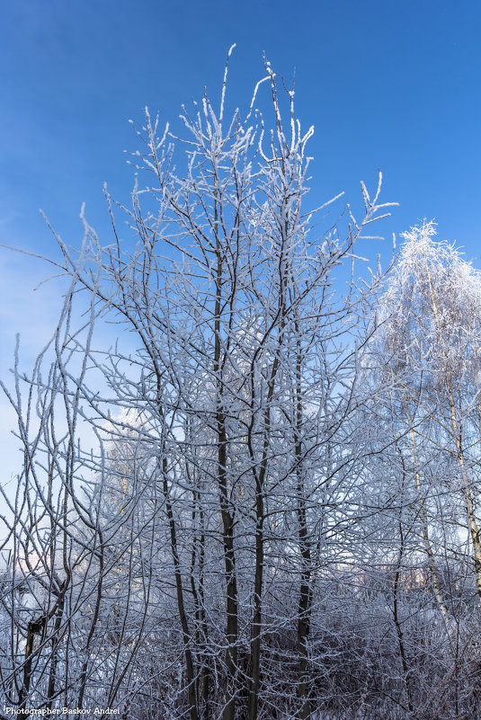 Зима - Андрей Баськов