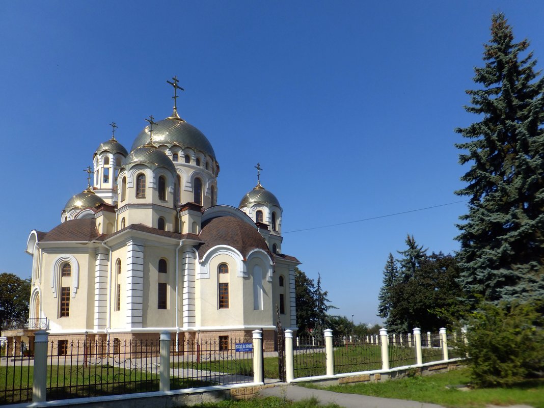 Собор Мариии Магдалины в Нальчике - Олег Петрушин