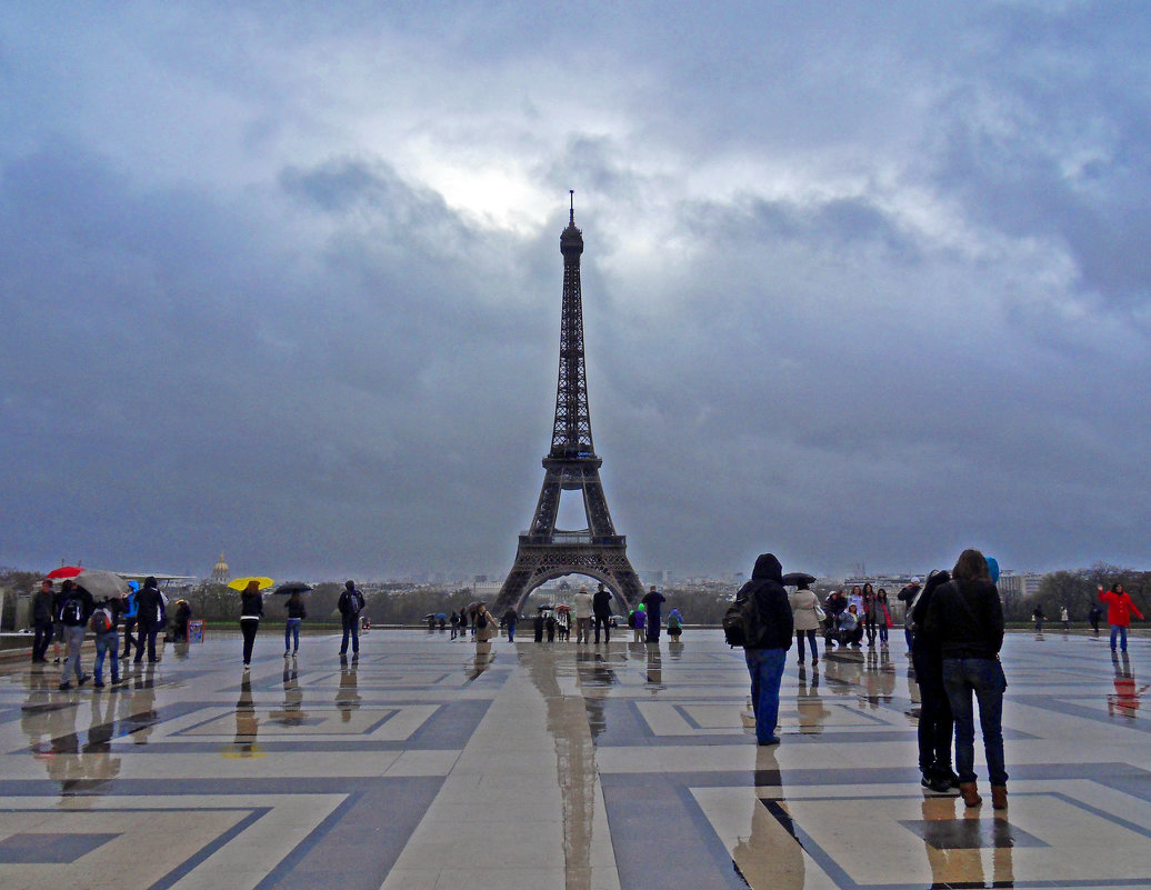 Дождливым днём в Париже - Natalia Harries