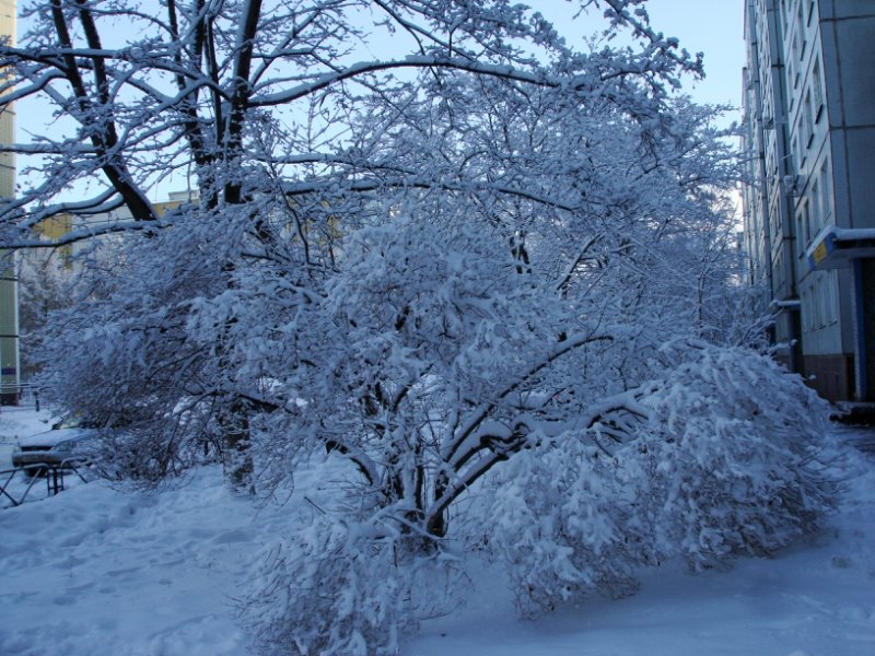 Зима - Татьяна 