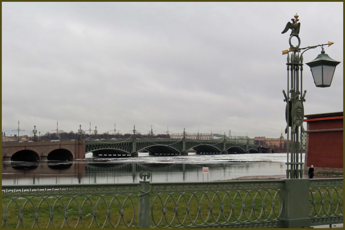 Вид на Троицкий мост с Иоановского моста - Ирина Лушагина