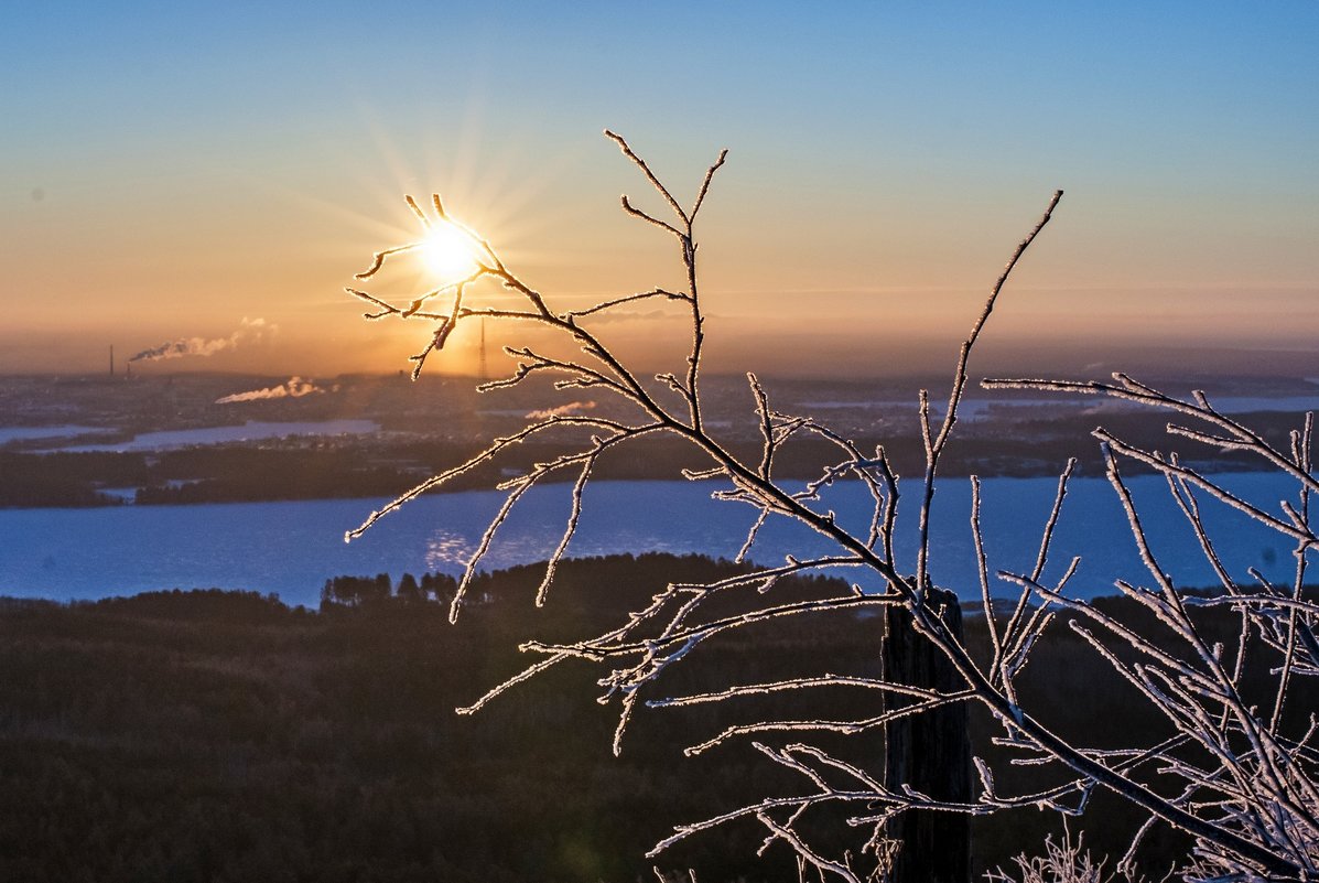 frosty morning - Dmitry Ozersky