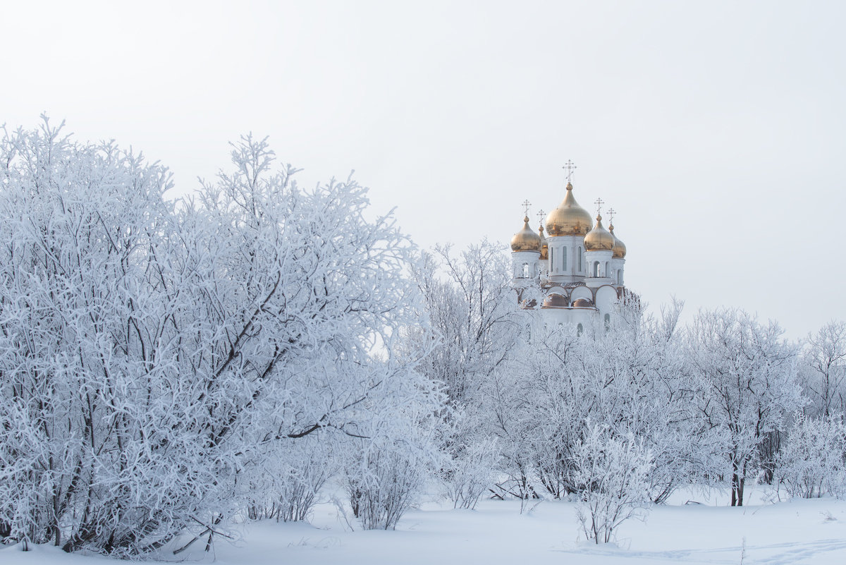 Зимний храм картинки