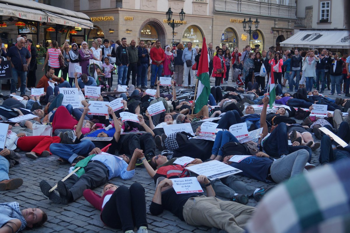 Митинг в Праге в поддержку Палестинцев - Андрей Анисимов