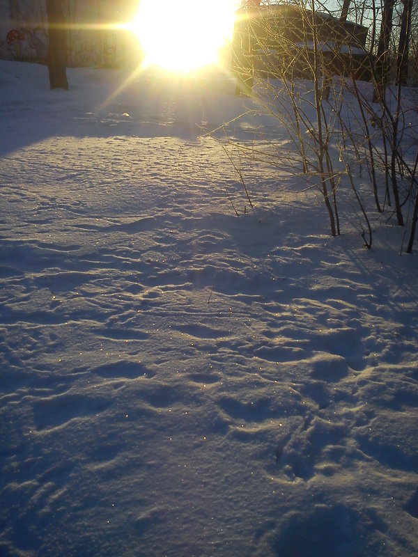 Солнечный круг, снега вокруг - Татьяна 