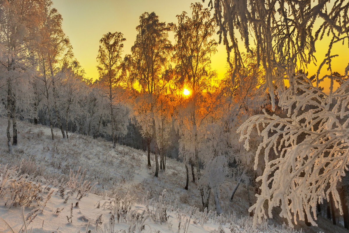 На закате зимнего дня - Анатолий Иргл