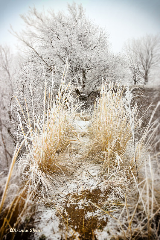Холодный февраль - Denis Aksenov