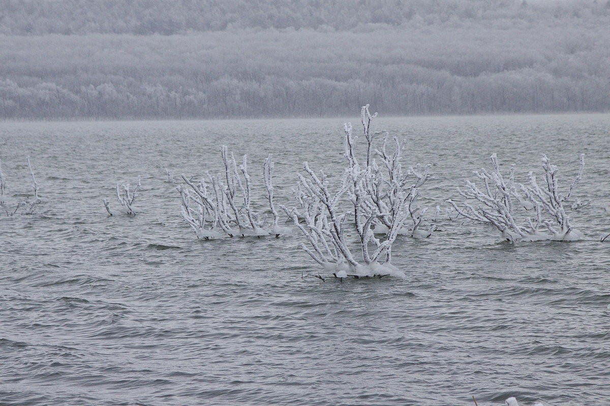 мороз на соленном озере - M Marikfoto