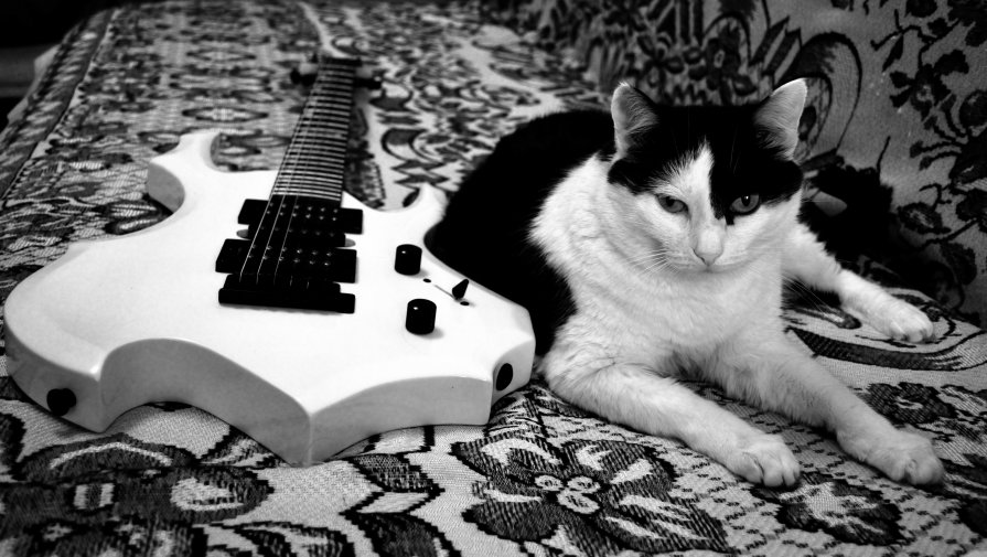 RocK-CAT - Роман Шплеханзидович