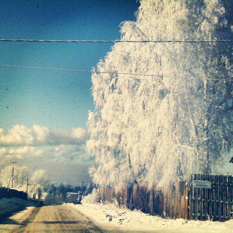 Суровая зима:) - Юлька Васковская