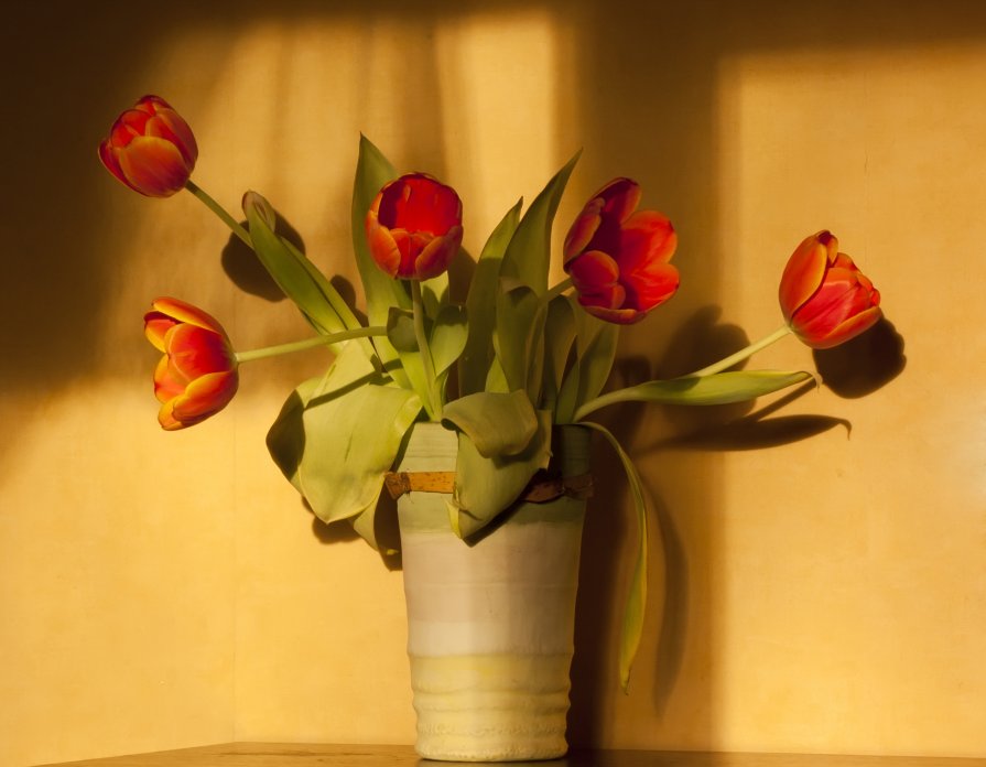 Золотистые тюльпаны - vik zhavoronka