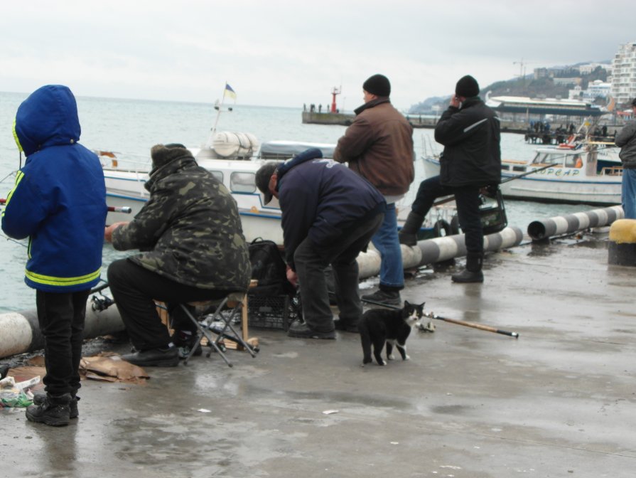 Февральская рыбалка в Ялте. - Марина Титова