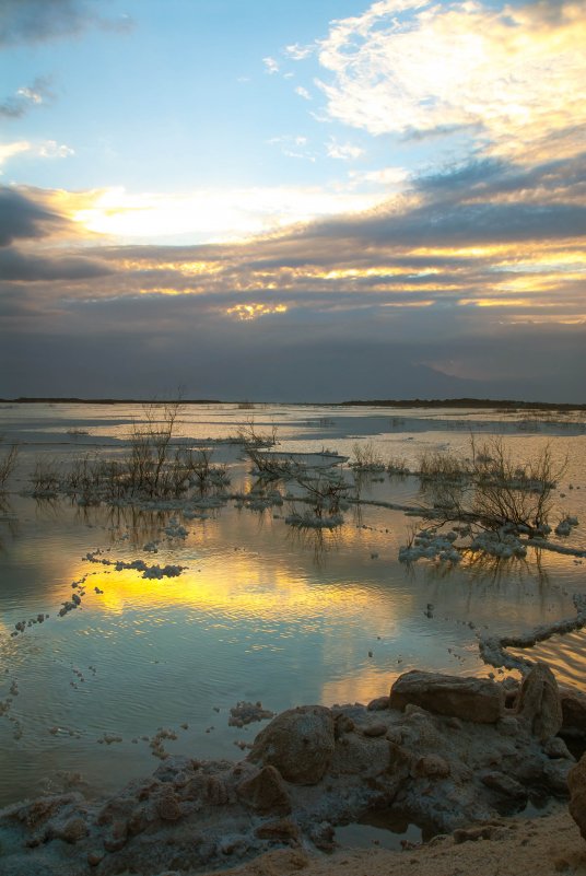 Зимний рассвет на Мертвом море - susanna vasershtein